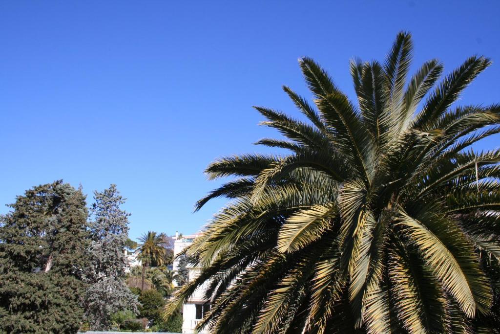 Résidence La Villa Léonie Niza Habitación foto